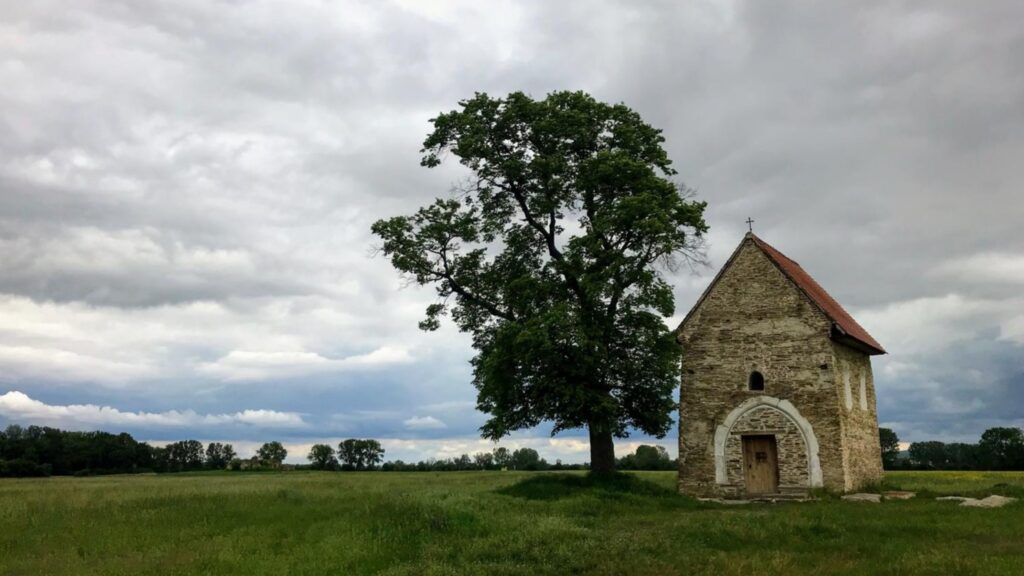 A large oak tree next to a small stone chapel in a large grassy field.  
